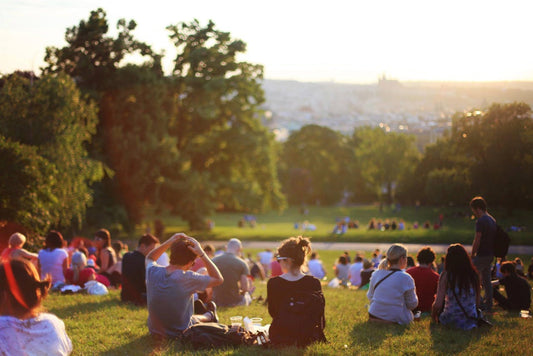 CBD Gummies and Picnic Snacks: A Perfect Summer Treat