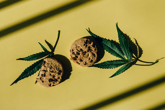 CBD in the Kitchen: From Oil to Dessert