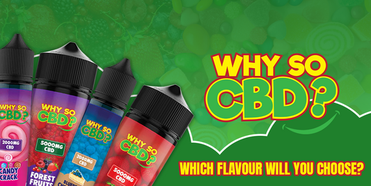 CBD Gummies Deals at Why So CBD